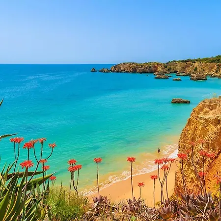 Carvoeiro Tennis - With Tennis Court And Private Heated Swimming Pool In Carvoeiro Villa